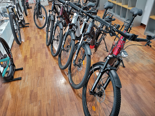 Nelvauto E-Bike / Sector Ciclismo