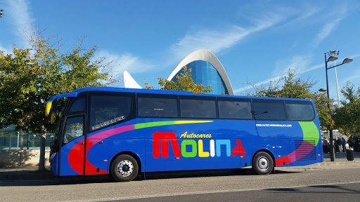 Autocares De Molina