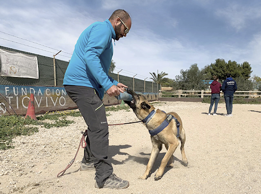 Hakadogs - Adiestramiento canino en Archena, Murcia