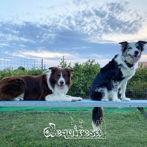 DEQUIRESA Adiestramiento Canino en Murcia & Residencia Canina