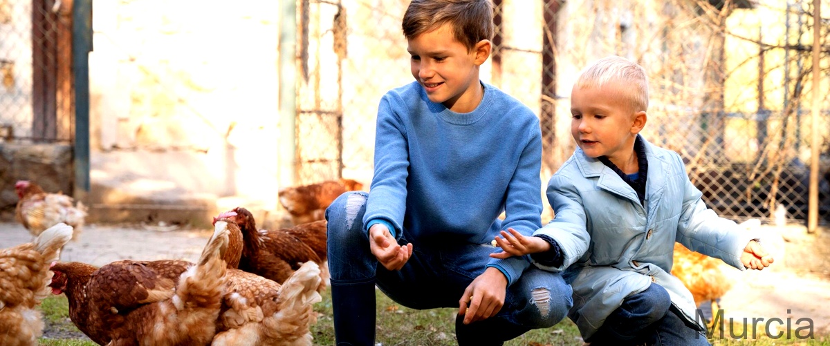 ¿Cuáles son las actividades que se pueden realizar en una granja para niños en Murcia?
