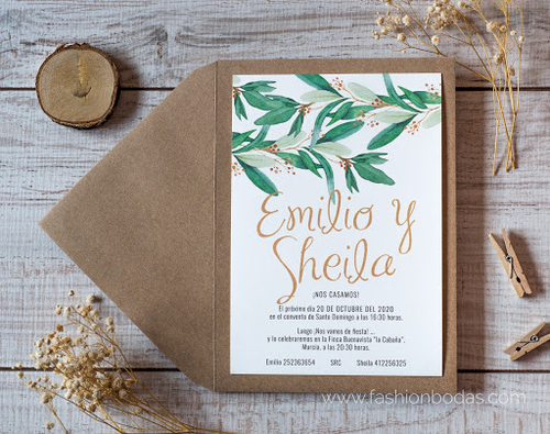 Fashion Bodas